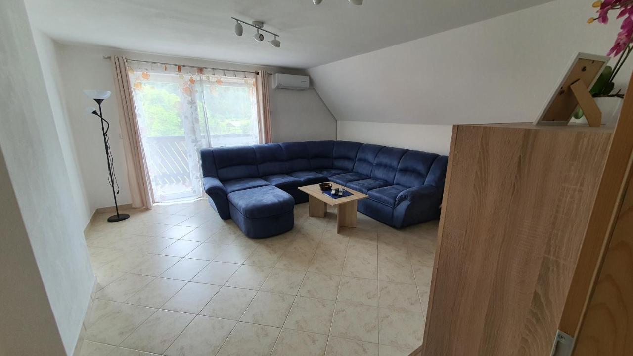 Tijana Apartment Nomenj